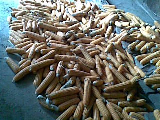 Load...