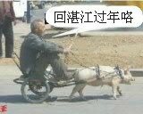 Load...