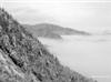 Load...