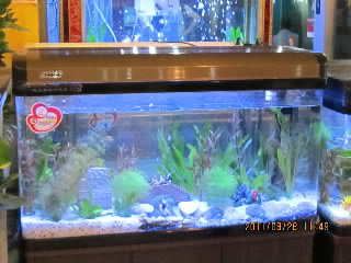 Load...